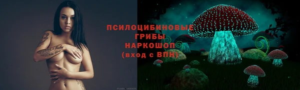 крисы Аркадак