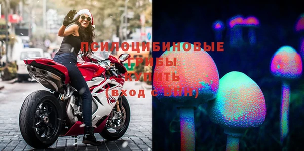 крисы Аркадак