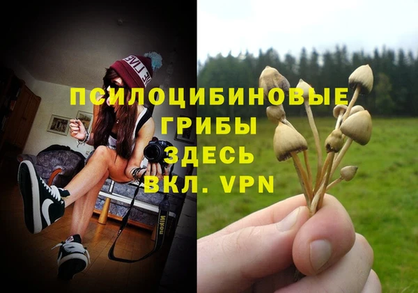 Альфа ПВП Армянск