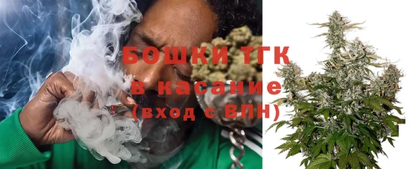 крисы Аркадак